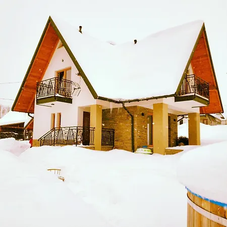 Willa Pod Wierzbami Ferienhaus *