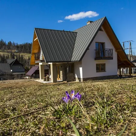 Willa Pod Wierzbami Ferienhaus *